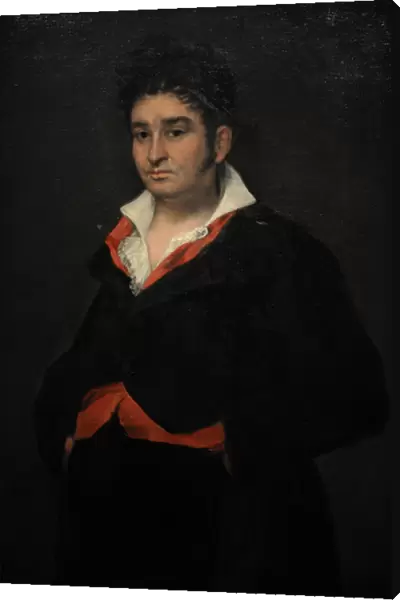 Portrait of Don Ramon Satue, 1823, by Francisco de Goya (174