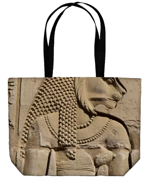 Egyptian Art. Temple of Kom Ombo. Sekhmet, the lion-headed g