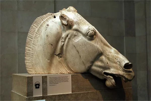 Greece. Athens. Parthenon. Head of horse from the chariot of