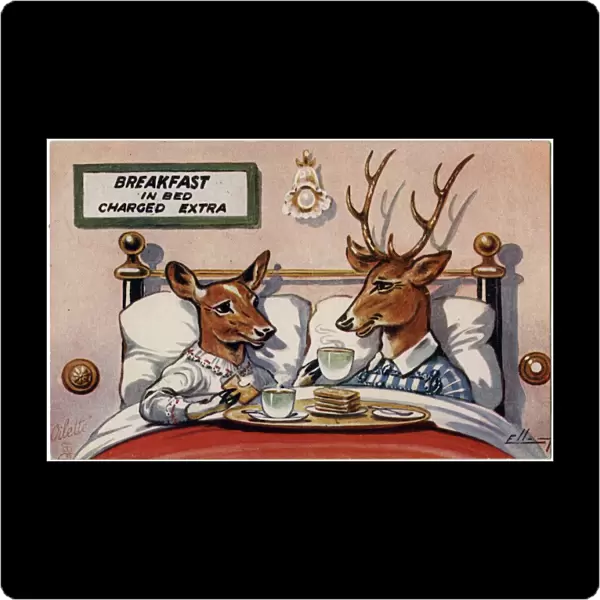 Two Deer enjoy Breakfast in Bed (charged extra)