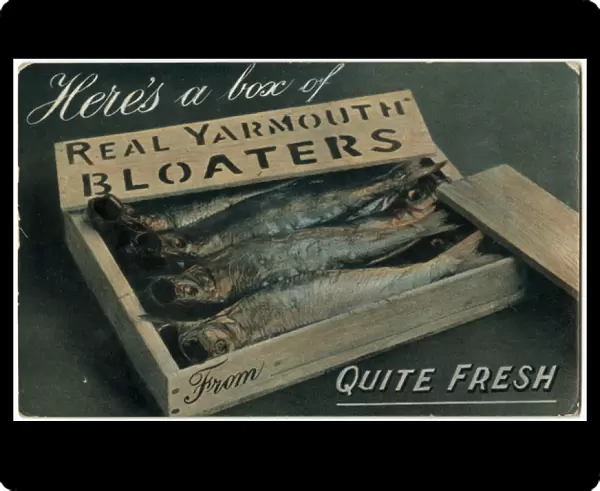 Heres a box of Real Yarmouth Bloaters - quite fresh