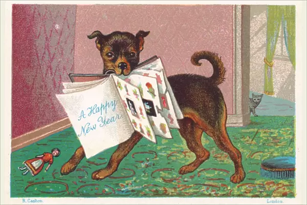 Dog with a book in its mouth on a New Year postcard
