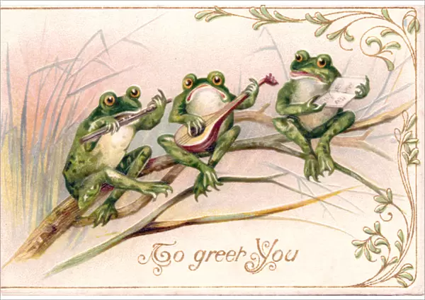Three frogs playing music on a greetings postcard