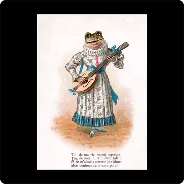 Frog playing a mandolin on a French postcard