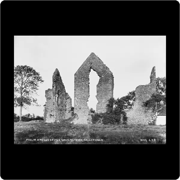 Phelim O Neills Castle, Salterstown, Ballyronan