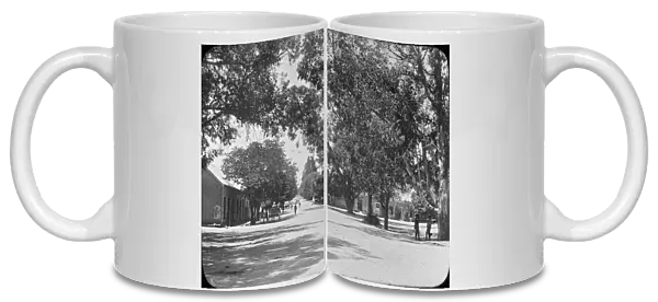 South Africa Cape Colony - Street view
