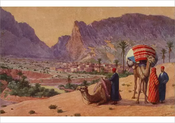 Men with camels