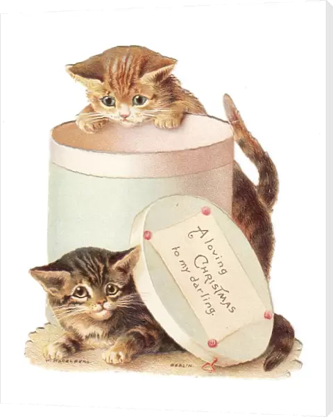 Two kittens playing with a hatbox on a Christmas card