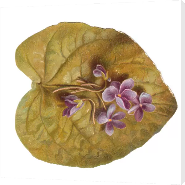 Greetings card in the shape of a leaf with purple flowers