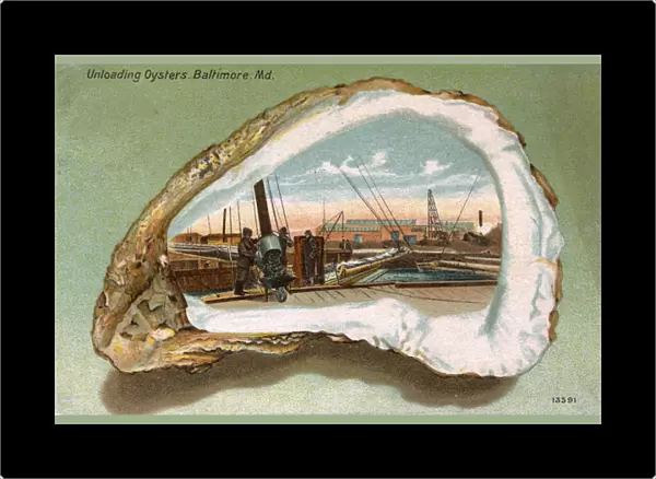Baltimore, Maryland, USA - Unloading Oysters