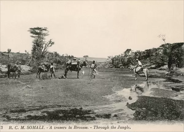 Travelling through Somalias savanna