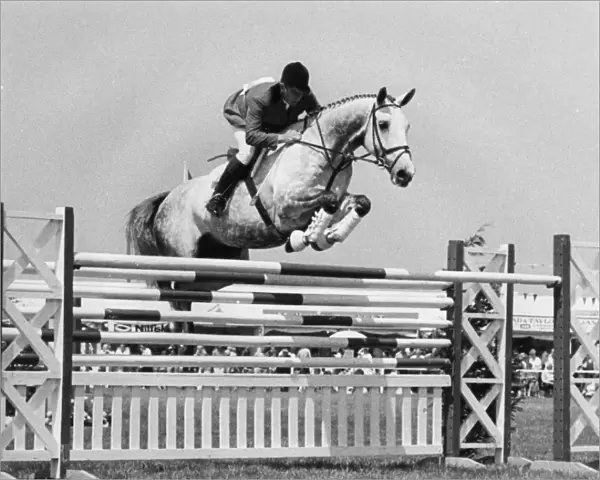 David Broom in show jumping event, Royal Cornwall Show