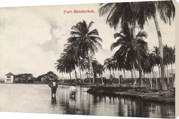 Port Henderson (Portmore), Jamaica, West Indies