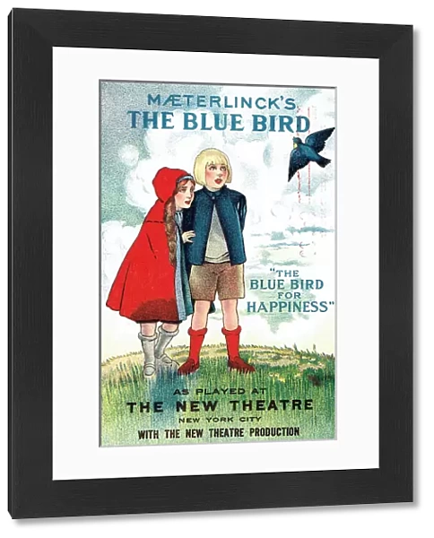 The Blue Bird for Happiness by M. Maeterlinck