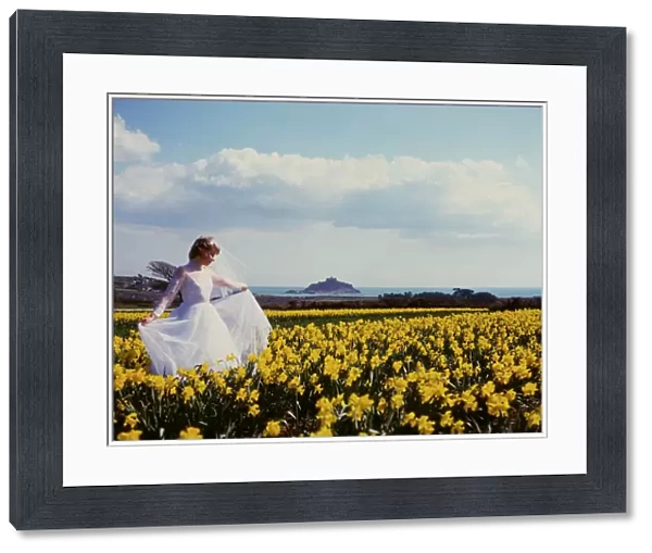 Bride in daffodil field, St Michaels Mount, Cornwall