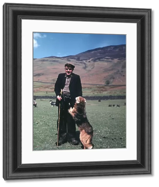 Shepherd and his dog, Cumberland