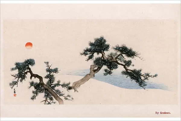 Pine Tree Branches by Matsumura Goshun (Matsumura Gekkei)