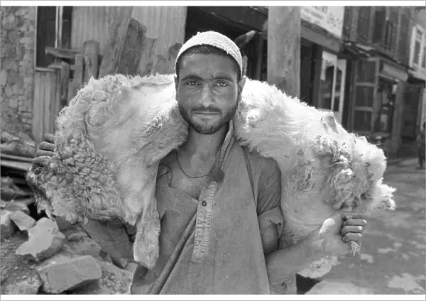 Man with sheep carcass, Kashmir