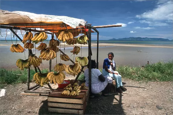 Happy banana sellers on a fruit stall on Viti Levu, Fiji