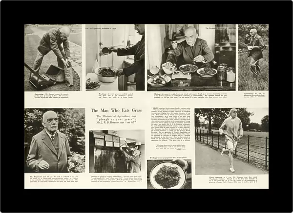 WWII - the man who eats grass, Mr J. R. B. Branson