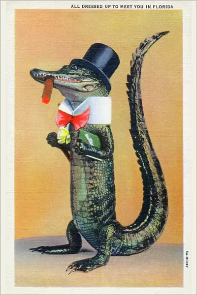 An Alligator - all dressed up to meet you in Florida, USA