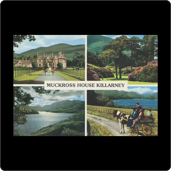 Muckross House Killarney, Multi-View