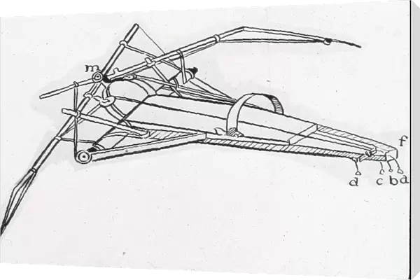 Da Vincis prone-type ornithopter