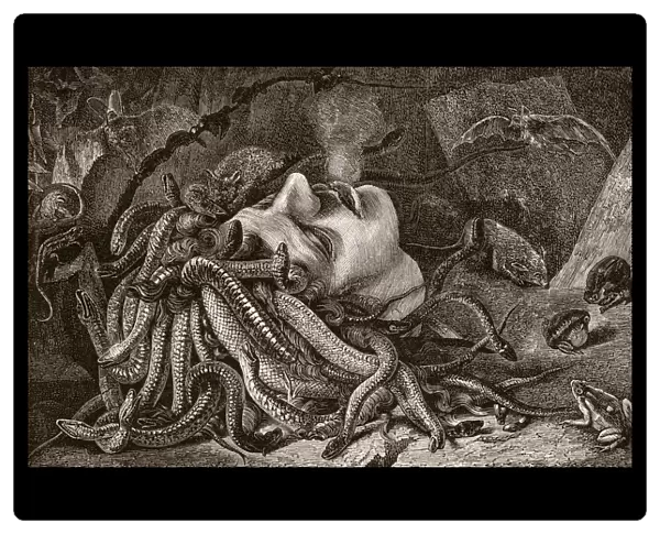 Medusa, by Leonardo da Vinci
