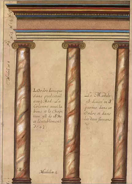 Ionic Columns Date: 1550