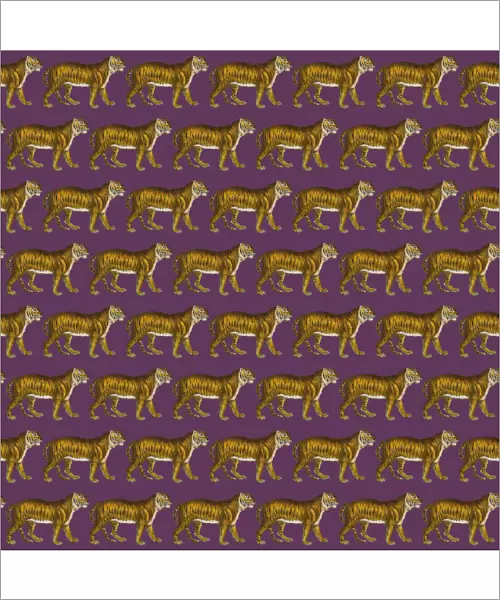 Repeating Pattern - Tigers - purple background