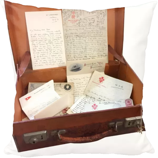 Letters from Albert Auerbach, arranged in a leather case