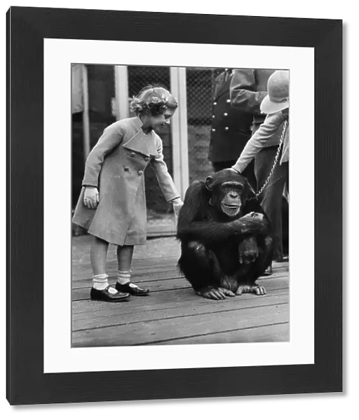 Princess Margaret with a chimpanzee
