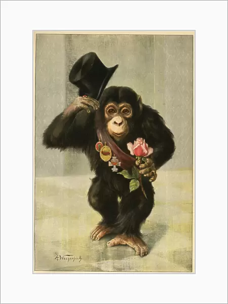 Happy New Year - Chimpanzee with top hat and rose
