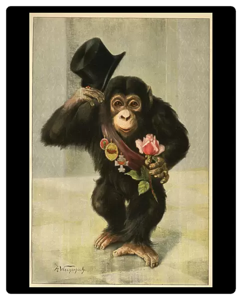 Happy New Year - Chimpanzee with top hat and rose