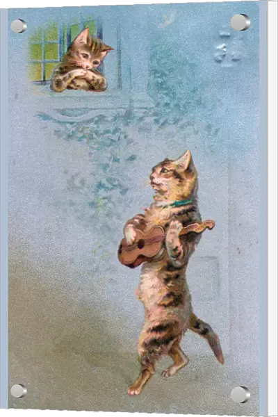 Musical cat with guitar serenading on a postcard