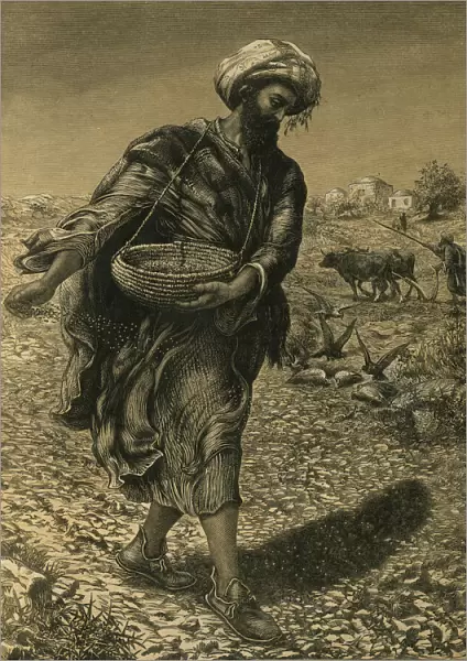 The Parable of the Sower sowing Seeds