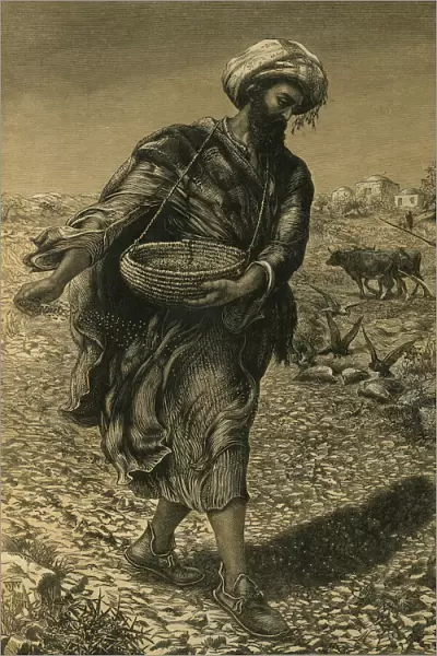 The Parable of the Sower sowing Seeds