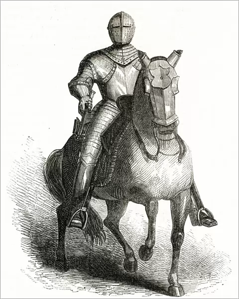 Horse and knight in amour