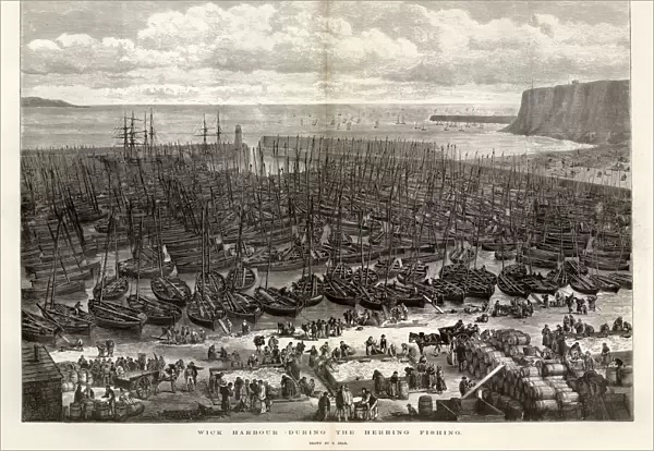 Wick harbour during the herring season, 1875
