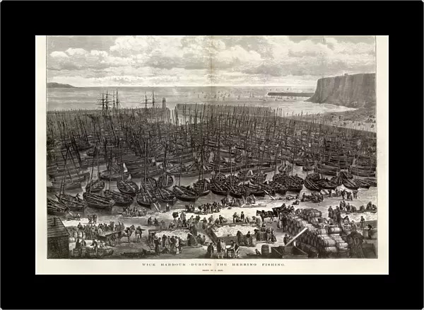 Wick harbour during the herring season, 1875