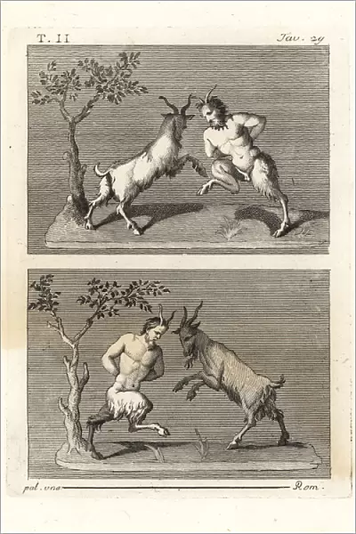 Two satyrs butting heads with goats