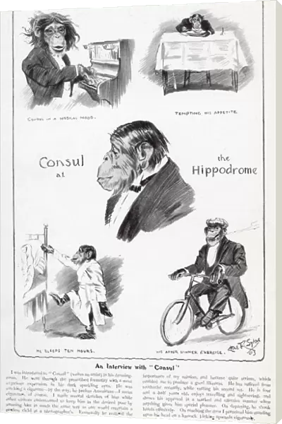 An Interview with Consul the Chimpanzee
