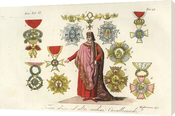 Knight in robes of the Order of the Golden Fleece