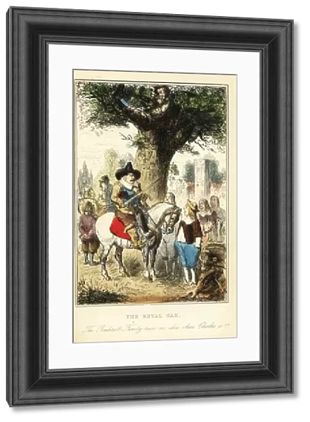 King Charles II hiding up an oak tree in Boscobel