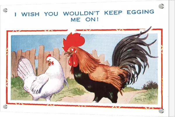 Comic postcard, cockerel and hen flirtation