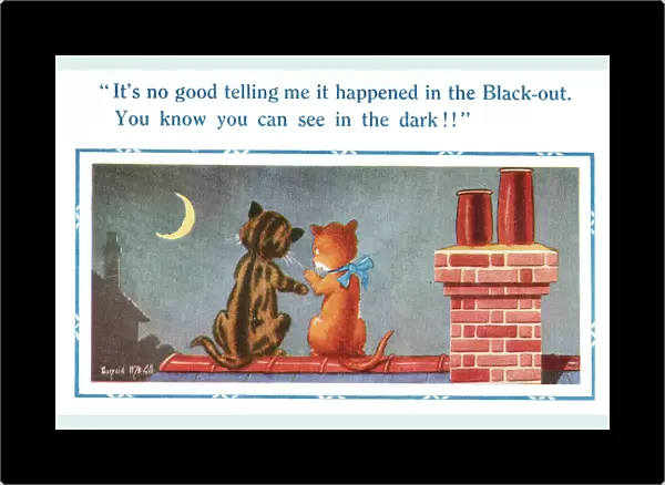 Comic postcard, two cats on a roof, WW2 - it happened in the blackout Date: 1940s