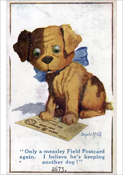 Comic postcard, Jealous puppy, WW1 Date: circa 1918
