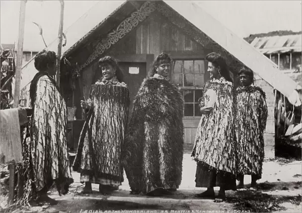 Maori Ladies of the Wonderland - Maori women