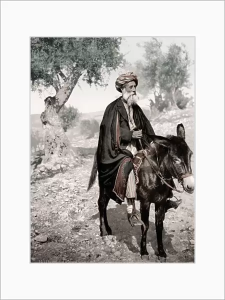 Israel Palestine - Arab merchant on a donkey