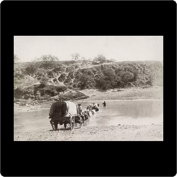 Ox drawn wagon train crossing a river, South Africa
